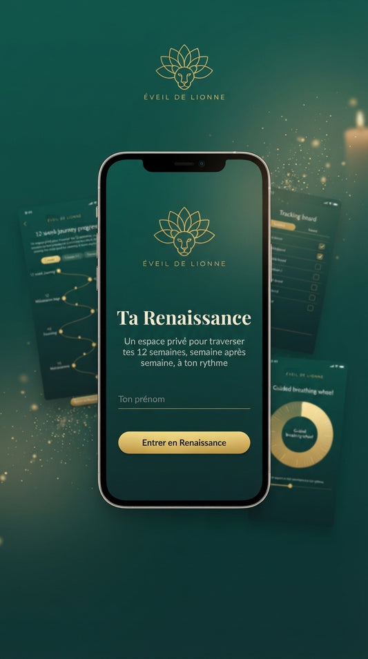 Programme E-Book : Ta Renaissance après le Burn-Out – 12 semaines pour redevenir Souveraine